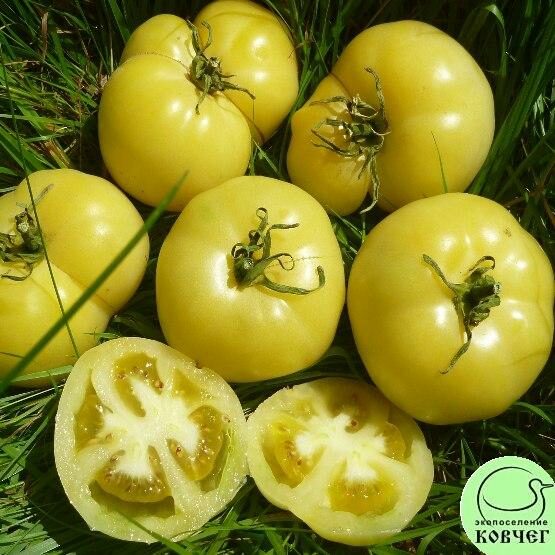 Семена томата Белый Лотос
