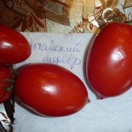 Семена томата Алтайский Шедевр