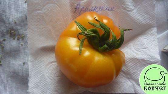 Семена томата Армянские