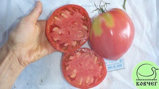 Семена томата Бабушкино бычье сердце