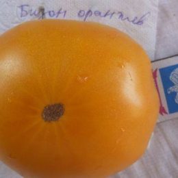 Семена томата Бизон Оранжевый