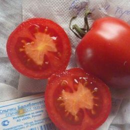 Семена томата Гибрид-4 Тарасенко