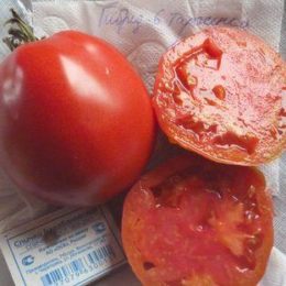Семена томат Гибрид-6 Тарасенко