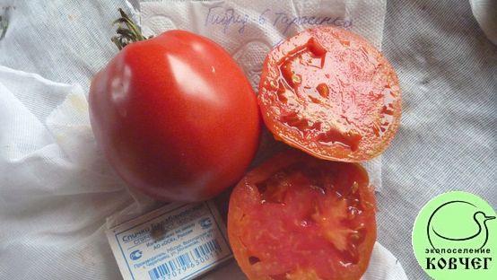 Семена томат Гибрид-6 Тарасенко