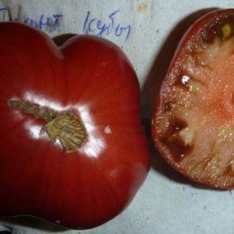 Семена томата Гигант Кубы
