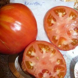 Семена томата Коловый