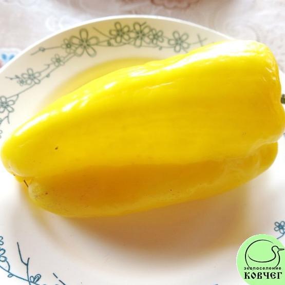 Перец Вельможа жёлтый (2) 2022г. Семена перца сладкого Вельможа жёлтый