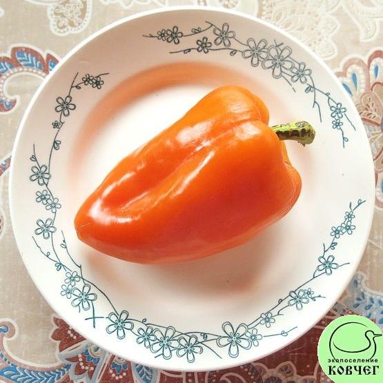 Перец Оранжевый от мамы 2021г. Семена перца сладкого Оранжевый от мамы