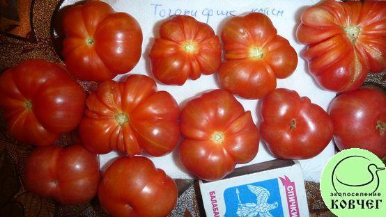 Семена томата Тогорифик Красный