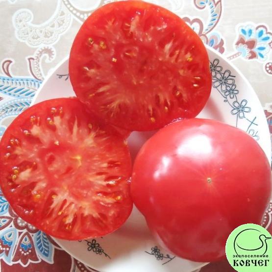 Томат 11 Колхозная королева (9) 2023г. Семена томата Колхозная королева