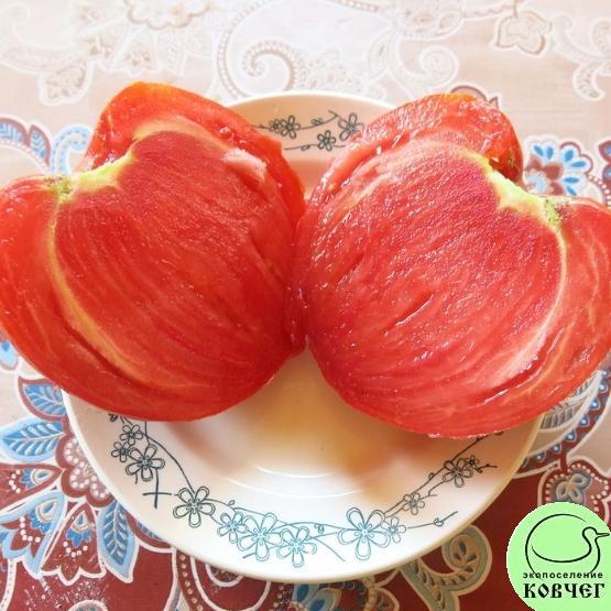 Томат 5 Гигант сахарный 6 2023г. Семена томата Гигант сахарный