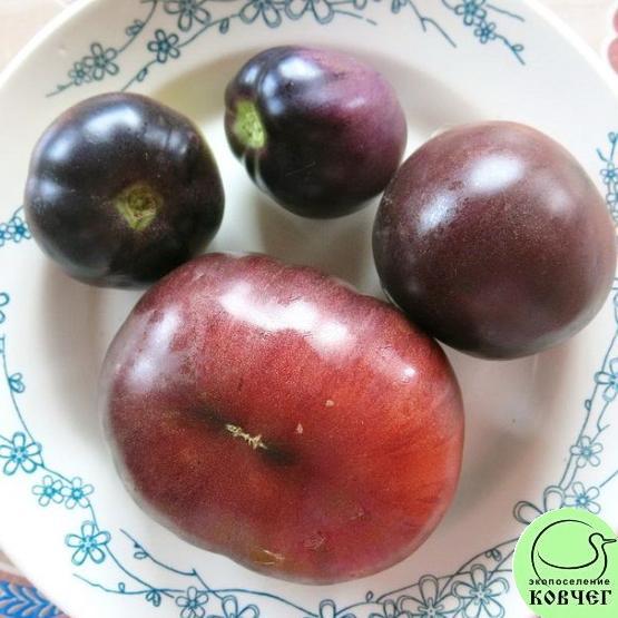 Томат 50 Аметист (2) 2024г. Семена томата Аметист