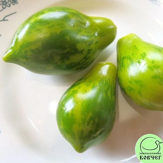 Томат 52 Майкл Поллан (2) 2025г. Семена томата Майкл Поллан