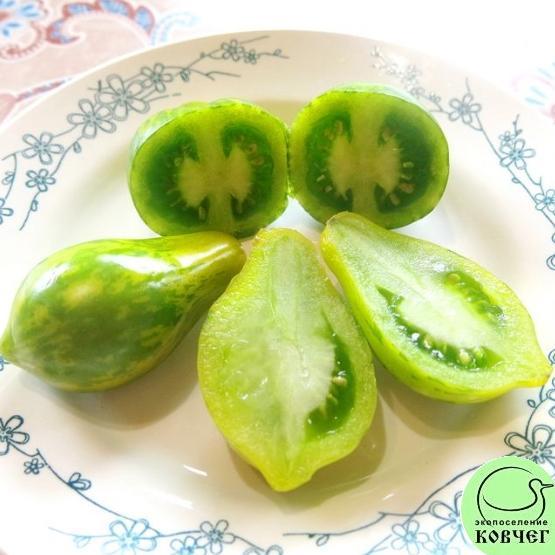 Томат 52 Майкл Поллан (5) 2025г. Семена томата Майкл Поллан