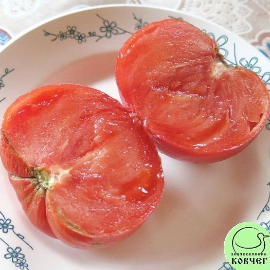 Томат 58 Академик Сахаров (3) Семена томата Академик Сахаров