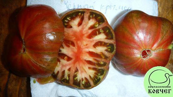 Семена томата Чёрный крымский