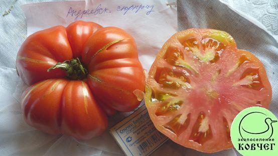 Семена томата Андреевский Сюрприз