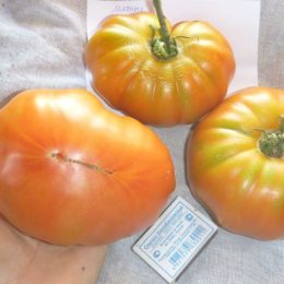 Семена томата  Мятные красные