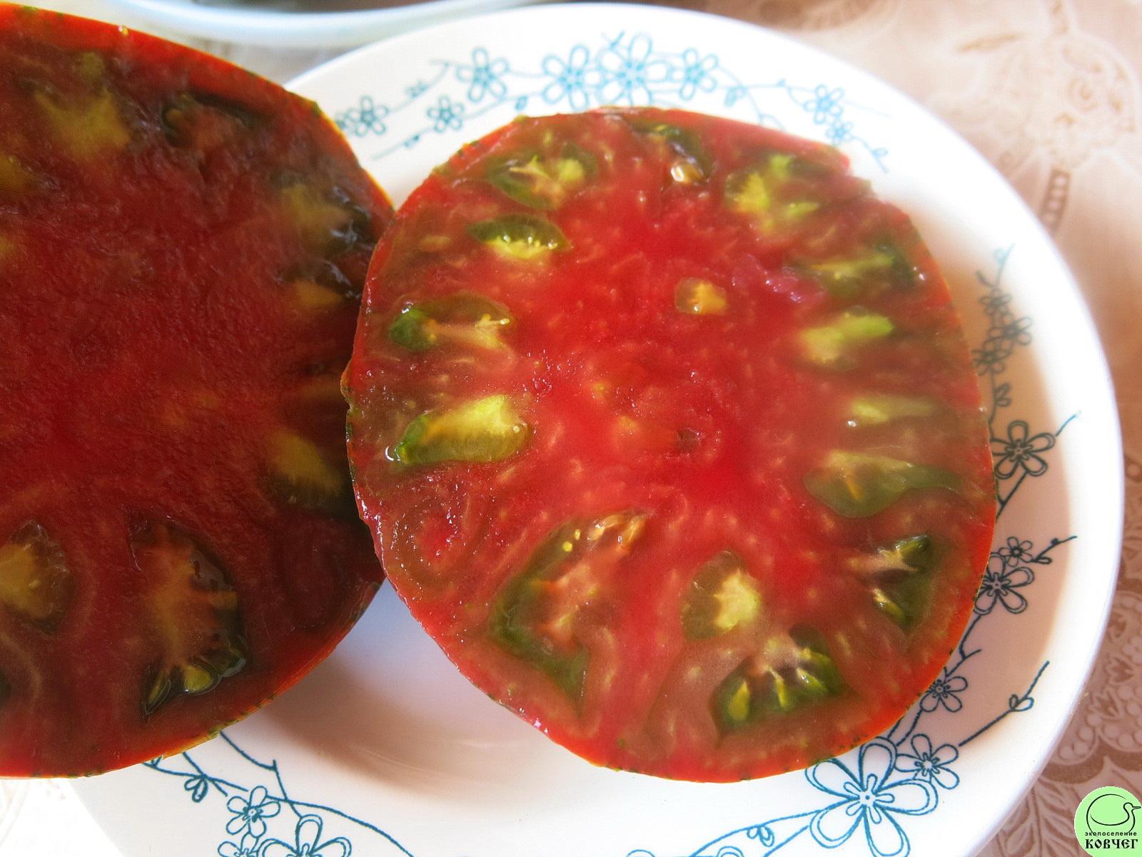 1 Шоколад страйпс (6) 2023г. Семена томата Шоколад Страйпс