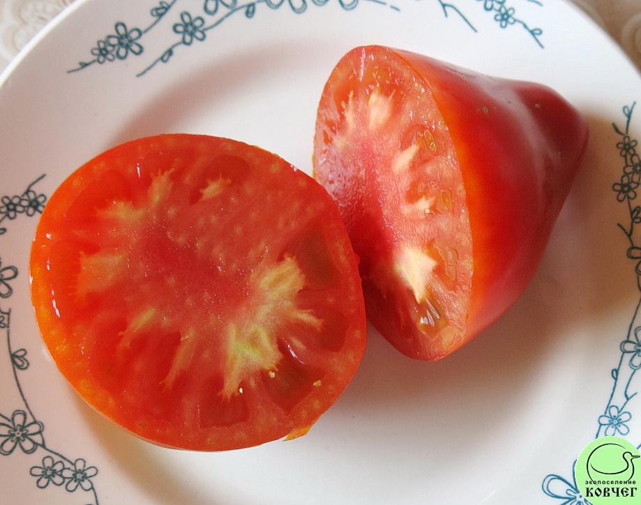 40 Марглобе (16) 2024г. Семена томата Марглоб