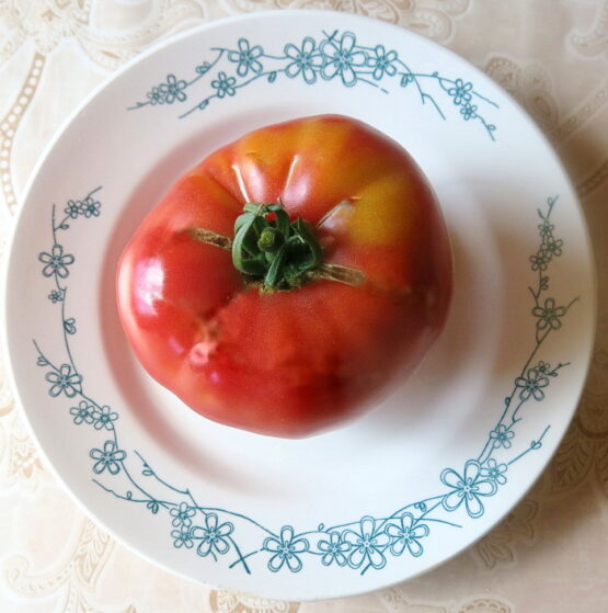 2018г. Семена томата Белорусский розовый