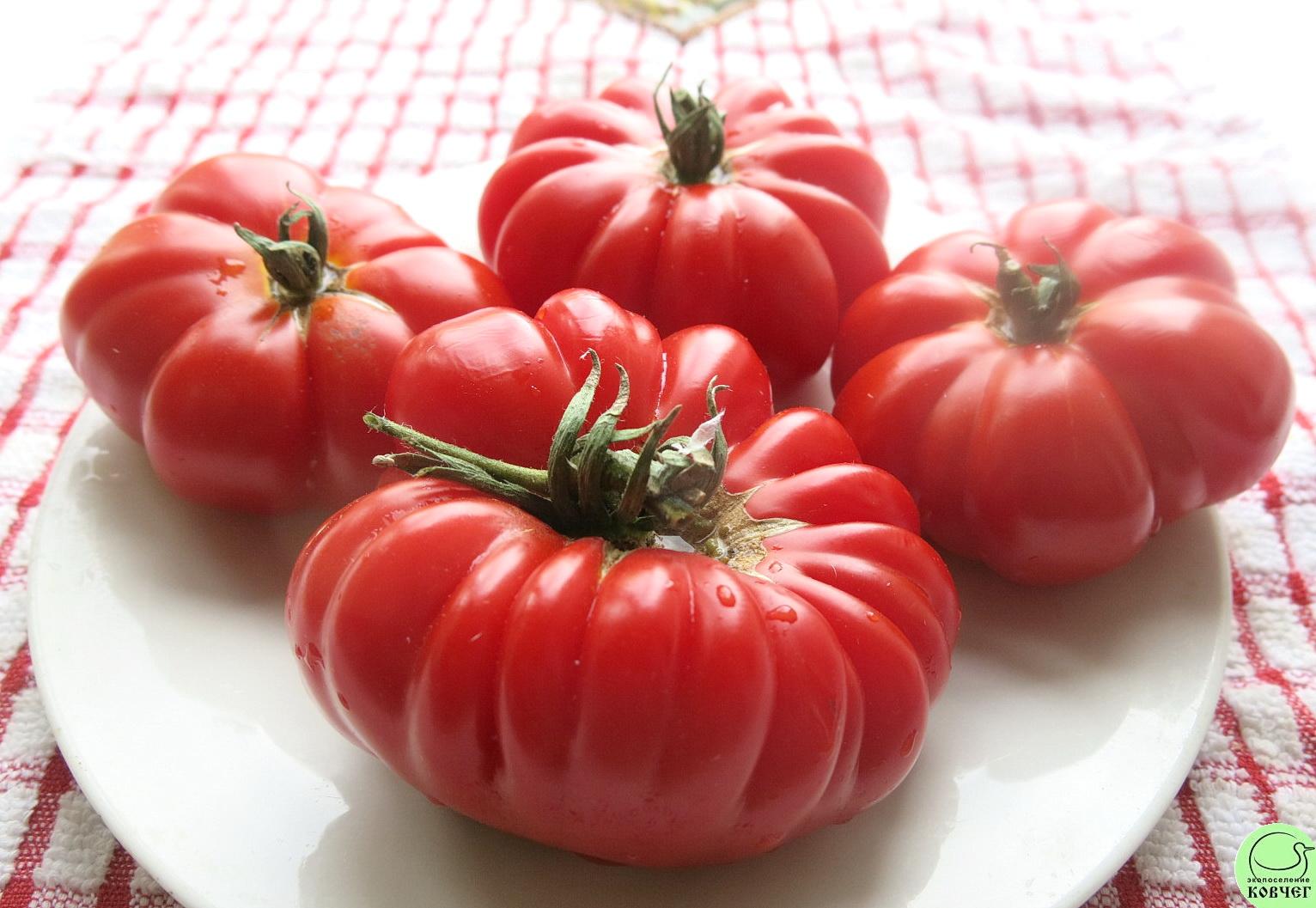 8 Демидовский (2) 2023г. Семена томата Демидовский