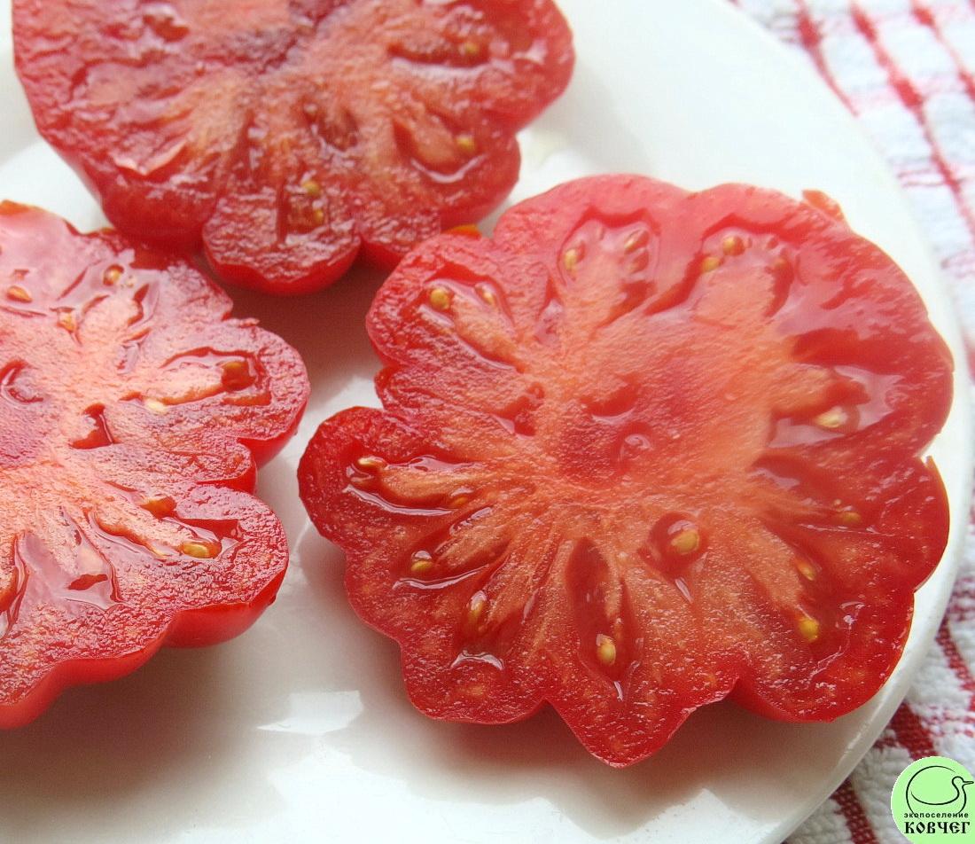 8 Демидовский (6) 2023г. Семена томата Демидовский