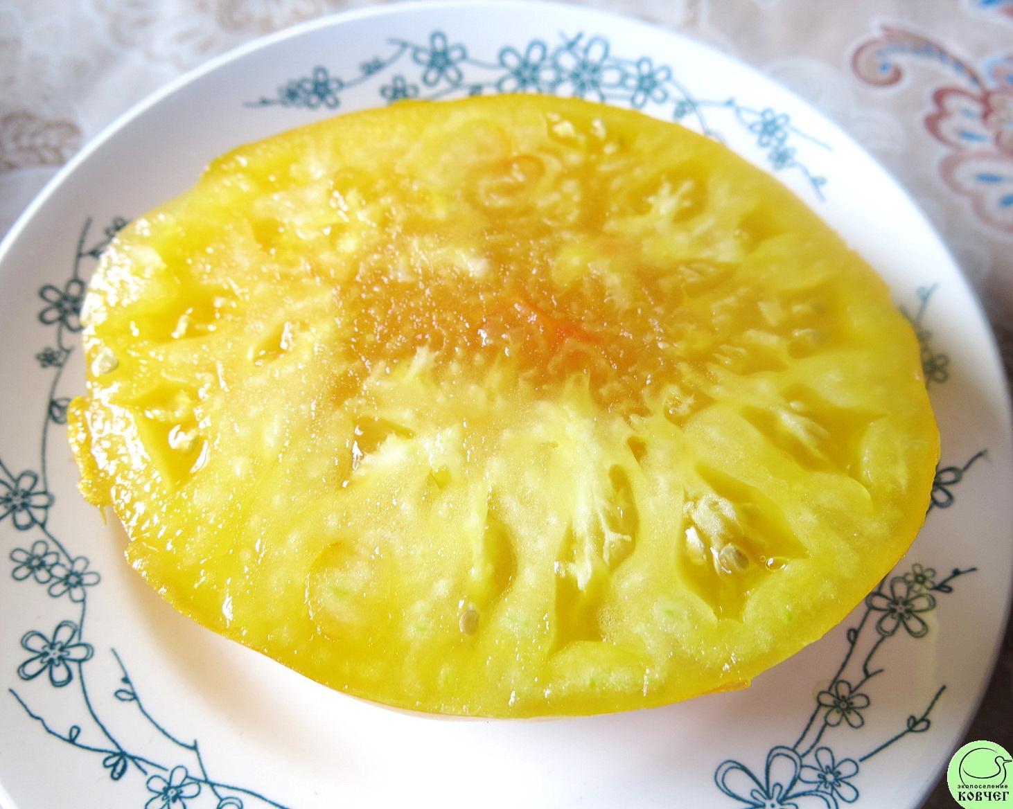 13 Золотой век (12) 2018г. Семена томата Золотой Век