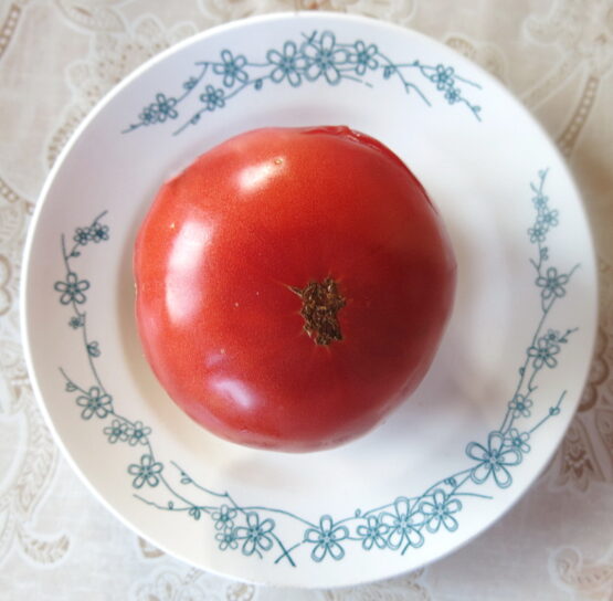 Семена томата Красный крупный