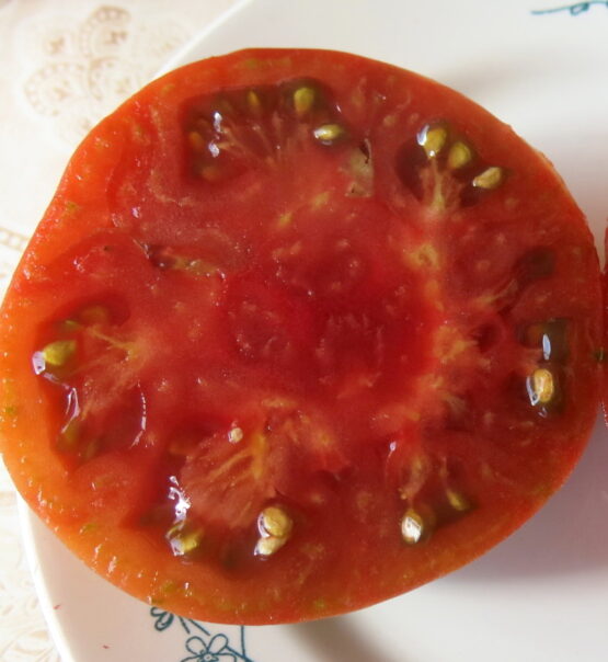 2023г. Семена томата Кубинский черноплодный