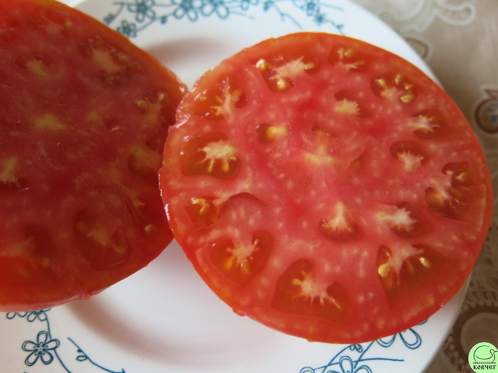 21 Немецкий гигант (18) 2018г. Семена томата Немецкий гигант