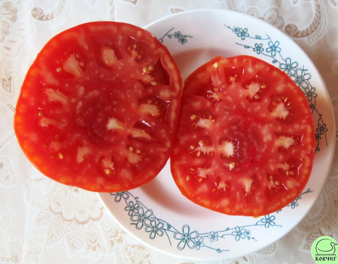 27 33 богатыря из Беларуси (21) 2018г. Семена томата 33 богатыря