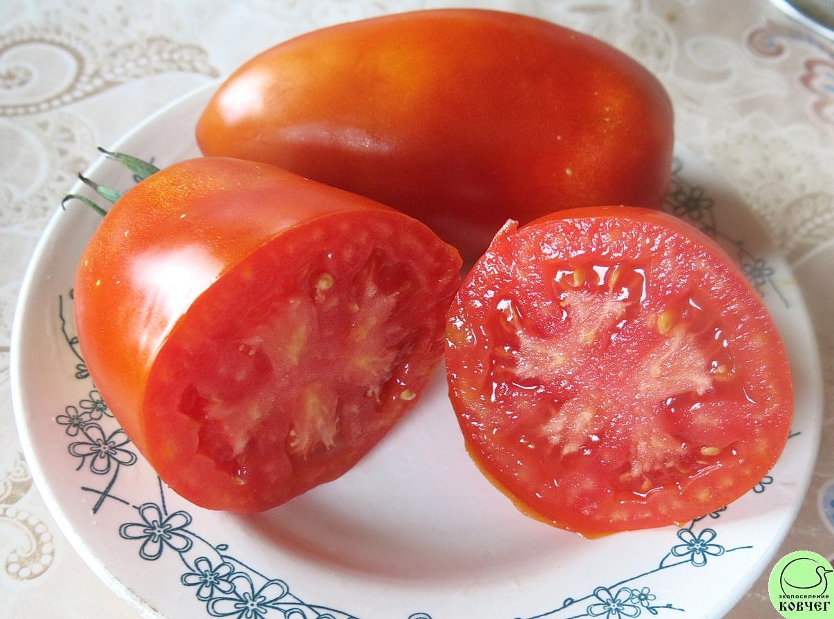 37 Королевский пингвин (4) 2025г. Семена томата Королевский пингвин