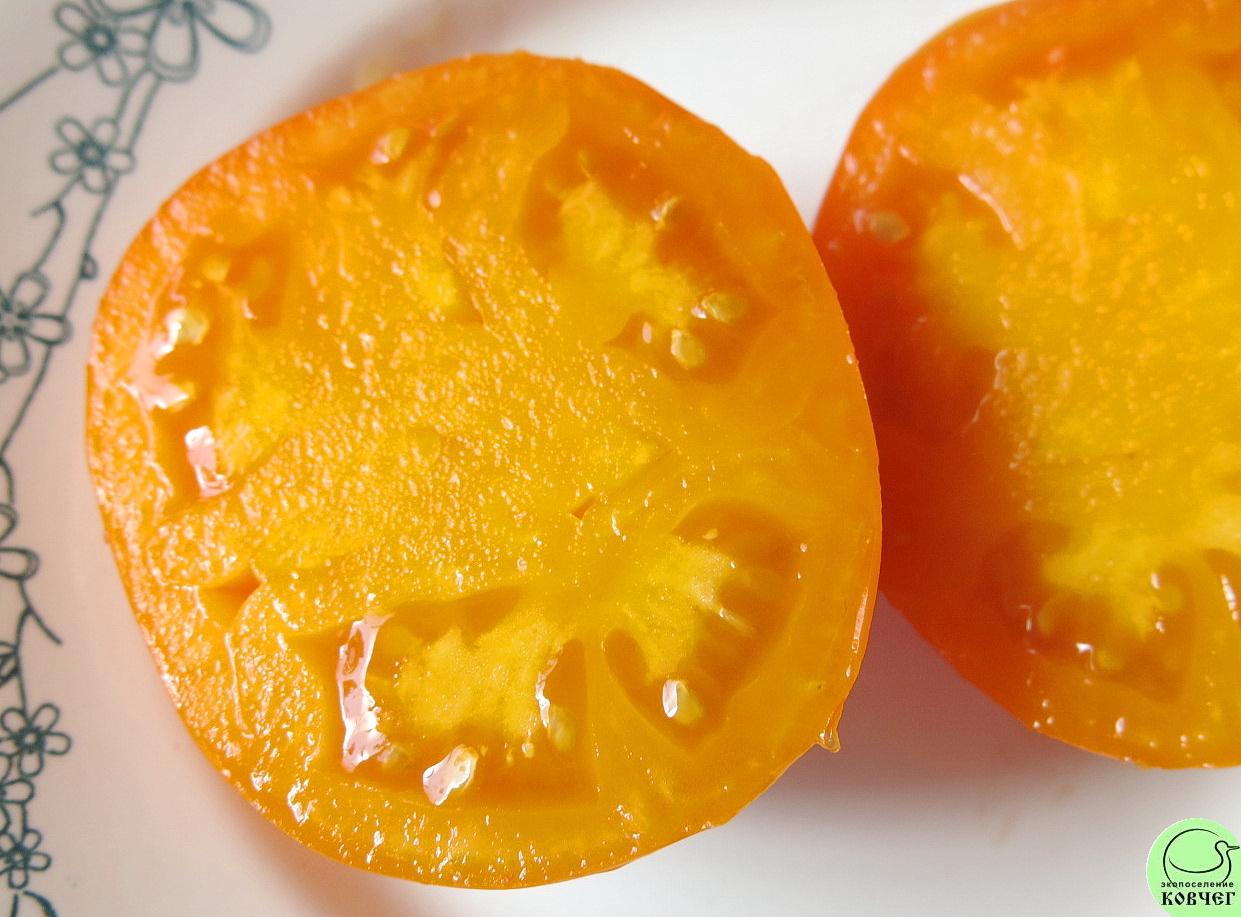 41 Оранжевое чудо (8) 2024г. Семена томата Оранжевое чудо