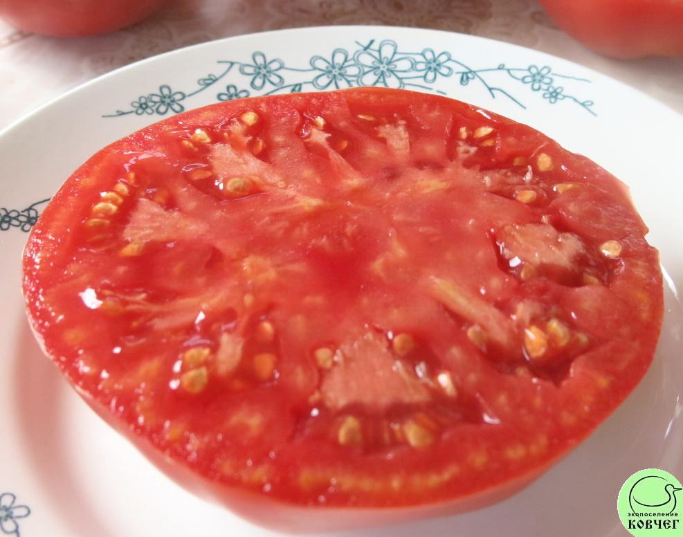 47 Томат староверов (9) 2023г. Семена томата Томат староверов