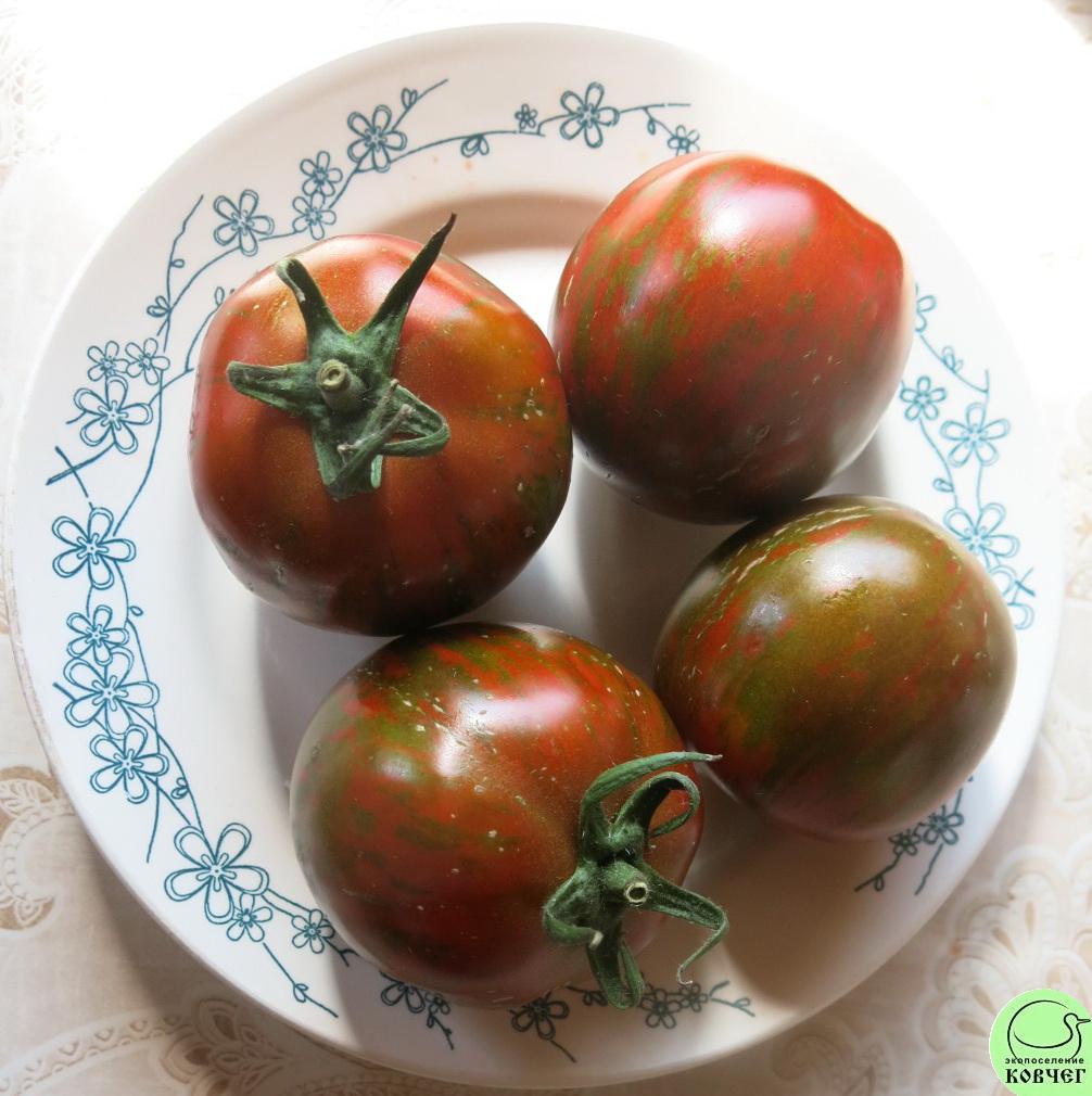 50 Чёрная зебра (2) 2018г. Семена томата Чёрная зебра