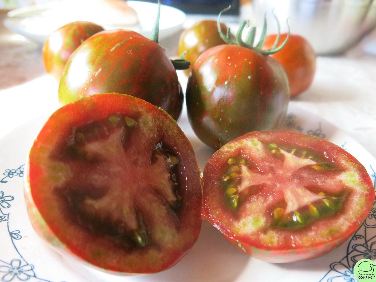 50 Чёрная зебра (8) 2018г. Семена томата Чёрная зебра