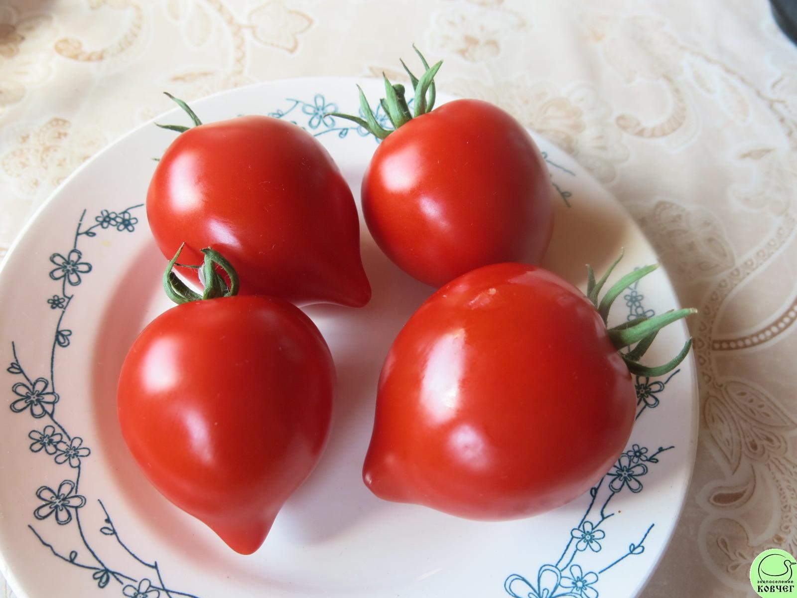 52 Юбилейный Тарасенко (2) 2022г. Семена томата Юбилейный Тарасенко