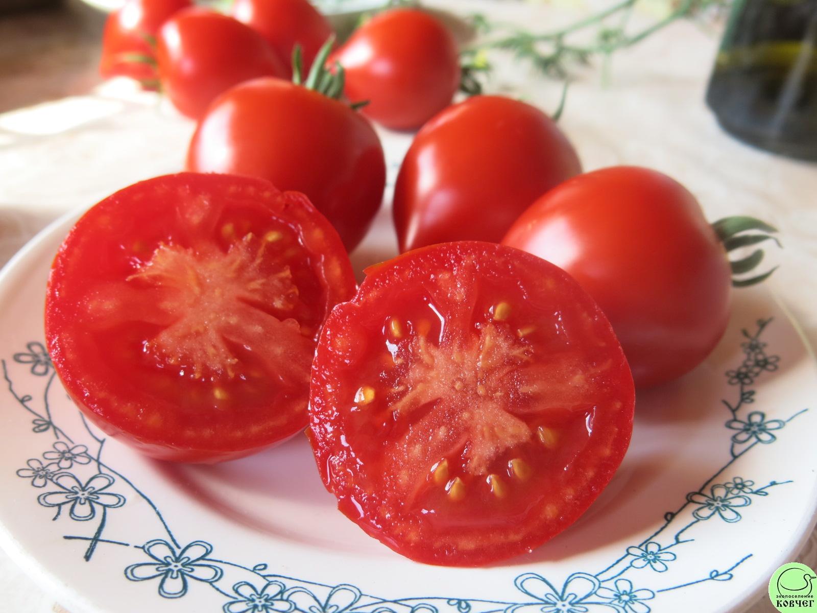 52 Юбилейный Тарасенко (8) 2022г. Семена томата Юбилейный Тарасенко