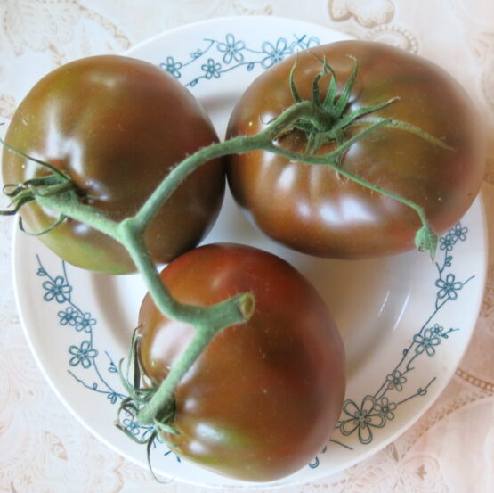 Семена томата Чёрный трюфель японский