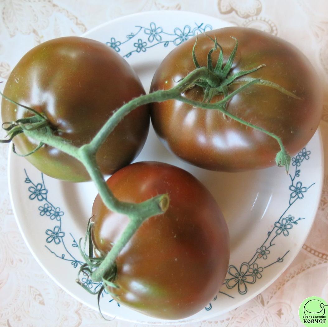 65 Чёрный трюфель японский 2018г. Семена томата Чёрный трюфель японский