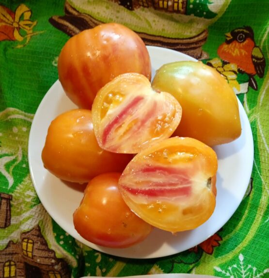 Семена томата Русский Оранжевый 117