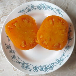 2025г. Семена томата Хурма