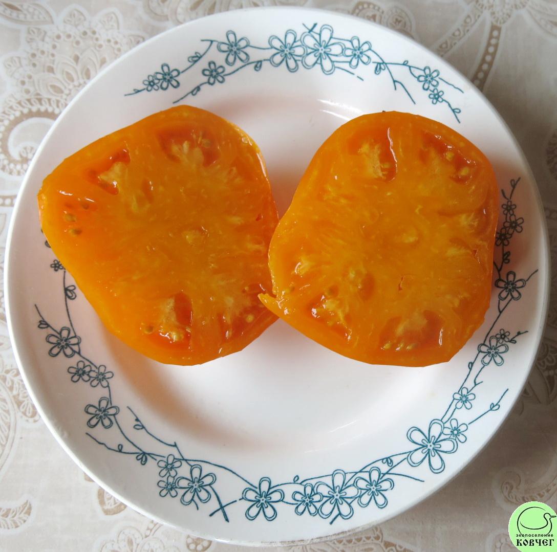 Ю5 Хурма 2025г. Семена томата Хурма