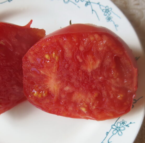 Семена томата Бычье сердце (от Юли)