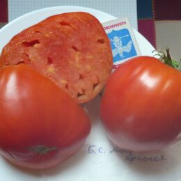 Семена томата Бычье Сердце Минусинское красное