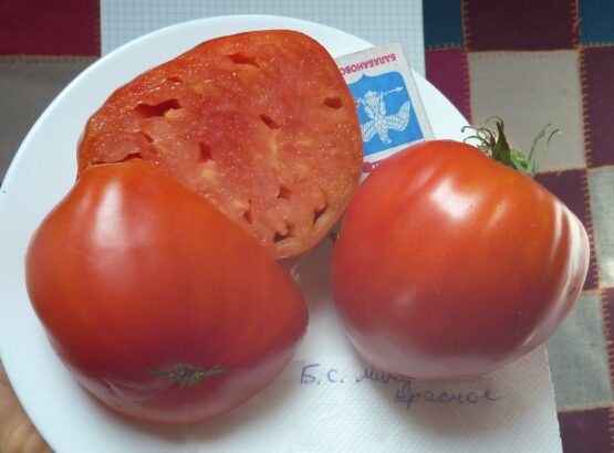 Семена томата Бычье Сердце Минусинское красное