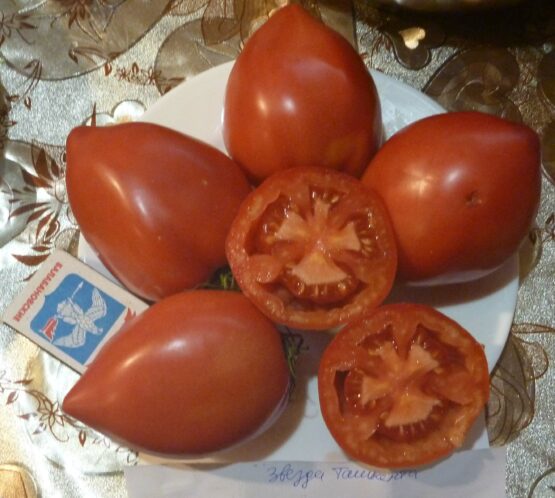 Семена томата Звезда Ташкента консервный