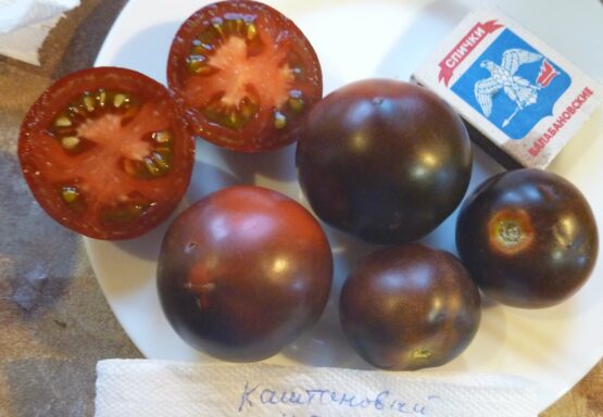 Семена томата Каштановый Шоколадный