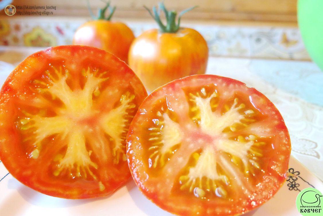 13. Жёлтый полосатый кабан (12)_1 2019г. Семена томата Жёлтый полосатый кабан